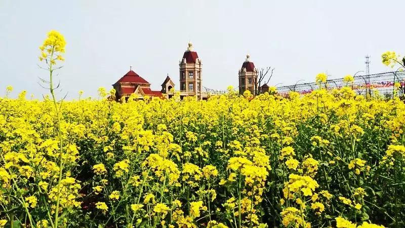 洛陽花會圖